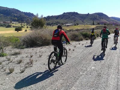 Cycling Routes