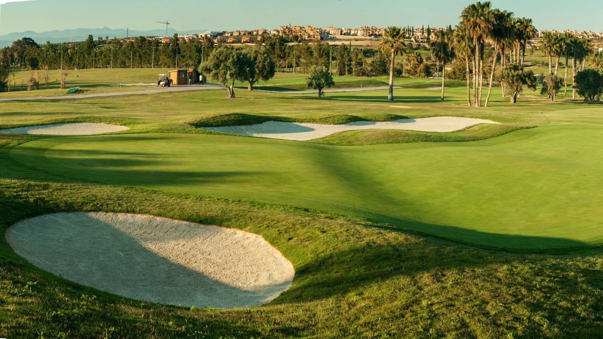 Championship Golf